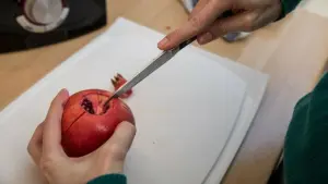 Granatapfel einschneiden