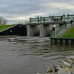 Wasser strömt in den Nationalpark Unteres Odertal