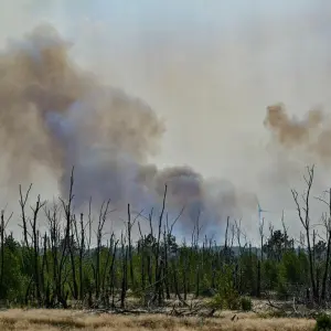 Waldbrand bei Jüterbog