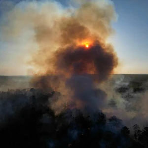 Waldbrände in Brasilien