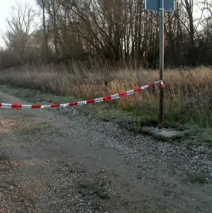 Leiche einer Frau am Rhein gefunden