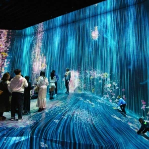 Installation im teamLab Borderless Tokyo