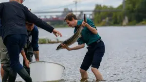 Störbesatz an der Elbe mit Bundesumweltministerin Lemke