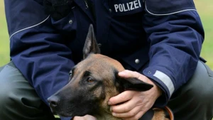 Polizeihund