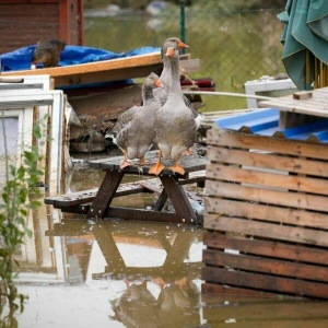 Hochwasser in Tschechien