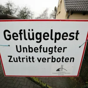 Geflügelpest