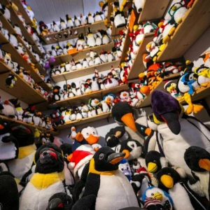 Pinguine im Sonderverkauf - Besonderes Museum schließt