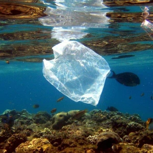 Plastiktüte im Meer