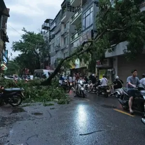 Taifun «Yagi» in Vietnam