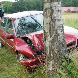 Nach einem Ausweichmanöver kracht ein Auto gegen einen Baum. 