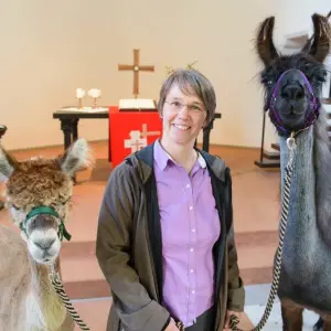 Pfarrerin mit Lamas und Alpakas im Auftrag des Herrn unterwegs