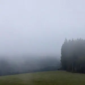 Wetter im Schwarzwald