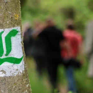 Wegzeichen am Lutherweg