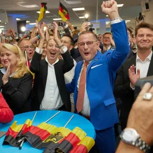 AfD-Wahlparty