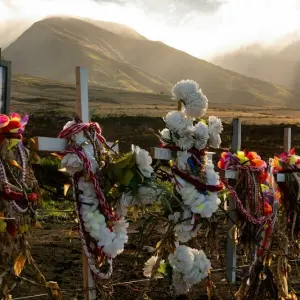 Nach den Waldbränden auf Hawaii