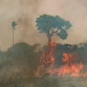 Waldbrände im Amazonasgebiet