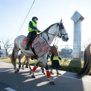 Pferde-Demonstration in Stuttgart