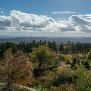 Nationalpark Hunsrück-Hochwald