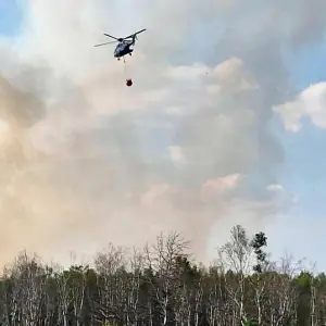 Waldbrand bei Jüterbog