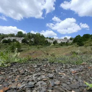 Unesco-Welterbe Grube Messel