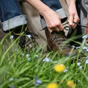 Deutscher Wandertag