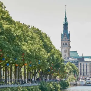 Stadtbäume in Hamburg