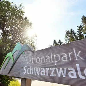 Nationalpark Schwarzwald
