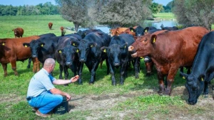 17. Bio-Landpartie in Mecklenburg-Vorpommern