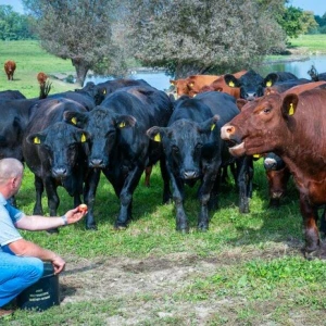 17. Bio-Landpartie in Mecklenburg-Vorpommern