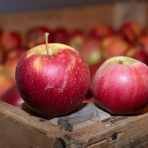 Verband: Äpfel bleiben wichtige Kulturpflanze