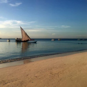 Ein Strand in Sansibar