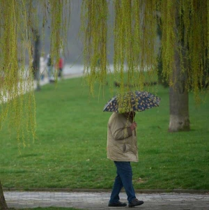 Ein Mann spaziert bei Regen durch die Koblenzer Rheinanlagen