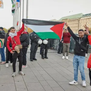 Pro-Palästina-Demo