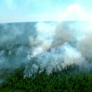 Waldbrand in Sibirien