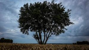 Wetter in Niedersachsen