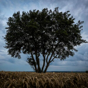 Wetter in Niedersachsen