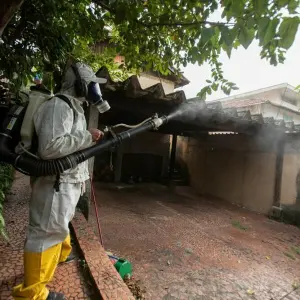 Dengue-Fieber in Brasilien