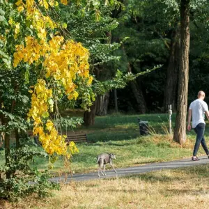 Vor dem meteorologischen Herbstanfang