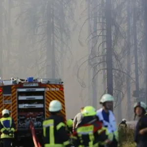 Waldbrand in Schierke