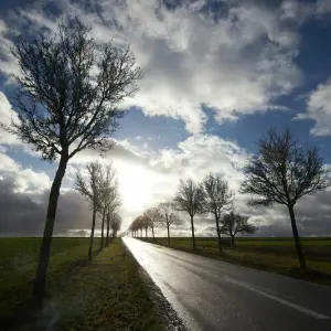 Einen Sonne-Wolken-Mix erwartet der DWD zu Wochenbeginn.