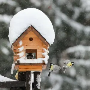Ein Vogelhaus in einer Winterumgebung