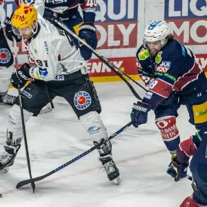 Eisbären Berlin - Pinguins Bremerhaven