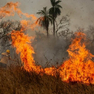 Indigene Feuerwehrleute kämpfen in Brasilien um ihr Territorium