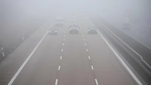 Nebel im Straßenverkehr