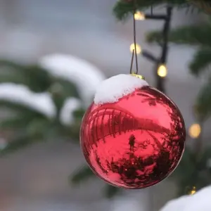 Schneebedeckter Weihnachtsbaum