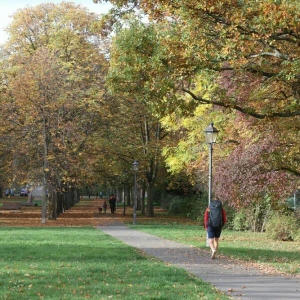 Spätsommer im Oktober - Gera