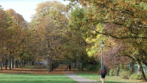 Spätsommer im Oktober - Gera