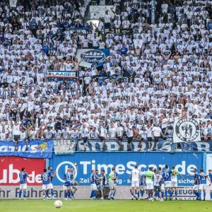Fans von Hansa Rostock