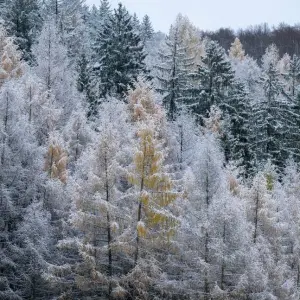 Schneefall im Erzgebirge