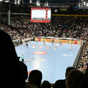 Handball-Fans